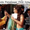 Prati-Roju-Pandaage-Title-Song-Lyrics